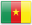CM flag