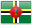 DM flag