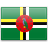 DM flag