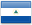 NI flag