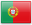 PT flag