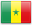 SN flag