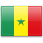 SN flag