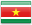 SR flag