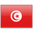 TN flag