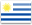 UY flag