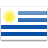UY flag
